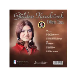 Elenor Plak Gülden Karaböcek /  Dilek Taşı (PLAK)