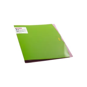 Bigpoint Sunum Dosyası Pop 20'Li Yeşil Pembe