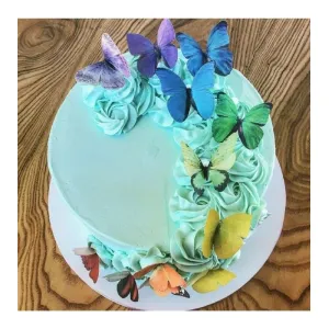 Pasta Balon Üzeri Dekor Kelebek Süsler  Pasta Balon Üzeri Süslemesi  pasta Yapımı Dekor Süsü Butterfly  Rengarenk