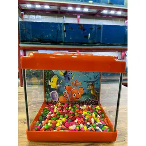 Turuncu Kare Mini Akvaryum 20X20X15