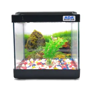 Mini Akvaryum Siyah 20X20X15 Akvaryum  Renkli Çakıl  Plastik Bitki Arka Fon
