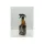 Airfly Oto ve Oda Kokusu Kestane Çiçeği 500 ml Airfly Oto ve Oda Kokusu Kestane Çiçeği 500 ml