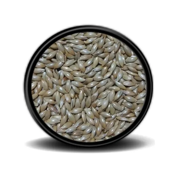 Sade Kanarya Yemi (Aspur) 1kg