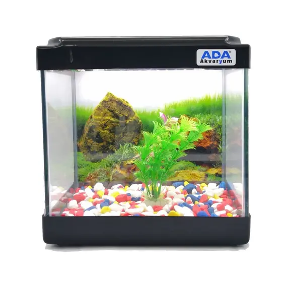 Mini Akvaryum Siyah 20X20X15 Akvaryum  Renkli Çakıl  Plastik Bitki Arka Fon
