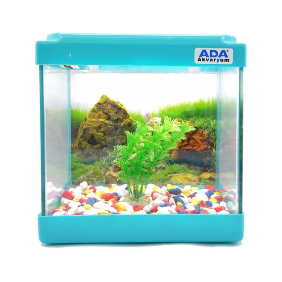 Mini Akvaryum Mavi 20X20X15 Akvaryum  Renkli Çakıl  Plastik Bitki Arka Fon