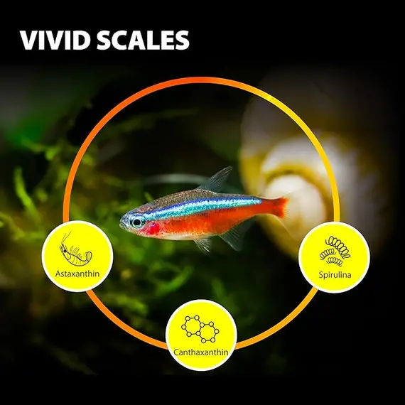 Tetra Balık Yemi için Purify Serisi, Küçük Tropikal Batıcı Peletler, Betta, Lepistes Balıkları İçin Uygun, Tamamen Doğal İçerikler, 2 image