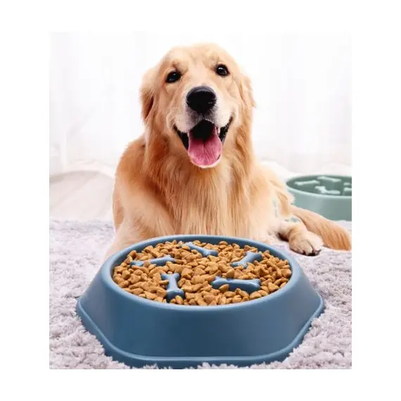 Kaymaz Evcil Hayvan Yavaş Besleyici Köpek Mama Kabı