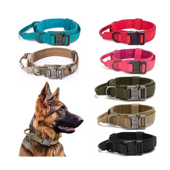 Dayanıklı Köpek Tasması Ayarlanabilir Evcil Hayvan Tasması