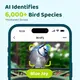 Birdfy 2 Kameralı Akıllı Kuş Besleyici, 3 image Birdfy 2 Kameralı Akıllı Kuş Besleyici, 3 image